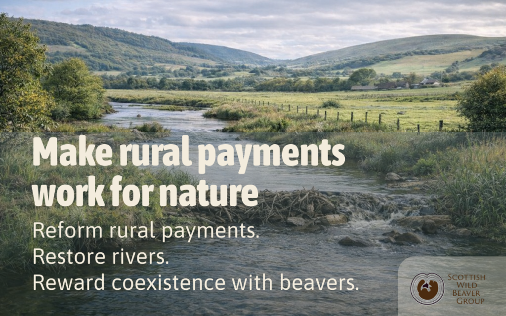 Stand up for Scotland’s rivers and wetlands campaign graphic with headline “Make rural payments work for nature” and sub-heading “Reform rural payments. Restore rivers. Reward coexistence with beavers,” over a river landscape background.